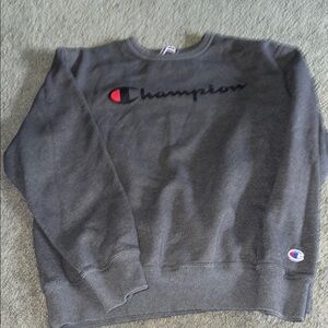 Champion Gray Sweatshirt